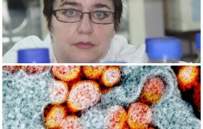 проф маргарита апостолова сзо следи заразния убийствен щам а30