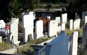 Централният гробищен на се разширява и в него ще бъдат