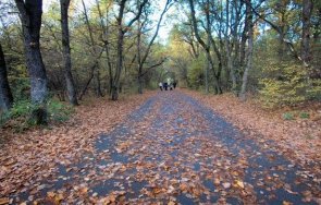 хасково реновират езерото алеите парк кенана