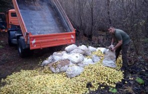 Държавното горско стопанство получи безвъзмездно 3 тона ябълки за да