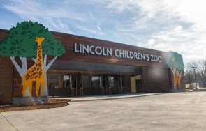 covid уби леопарди рядък вид