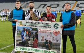 Проектът на Общинския приют за безстопанствени кучета в Пловдив Доброто