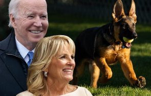 Президентът Джо Байдън представи новото си куче Къмандър Командир