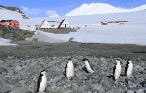 антарктиците пристигнаха остров ливингстън полярният сезон открит