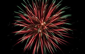 Община Кърджали се присъединява към инициативата на Фондация Четири лапи