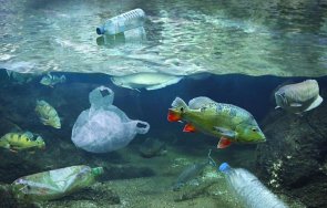 екокатастрофа средиземно море дави 4000 тона пластмаса