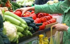 криза цените зеленчуците скачат оранжериите фалити