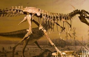 Преди около 65 милиона години измират динозаврите последното голямо