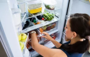 Домакинският хладилник е задължителен във всеки дом Купува се не
