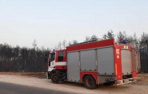 Широколистни гори в Омуртагско са спасени при пожар Огънят е