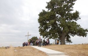 Дядо Кольовото дърво в село Студена община Свиленград спечели титлата Дърво