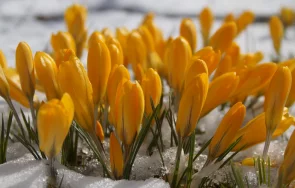 Месец февруари очаквано ни посрещна с ниски температури и сняг