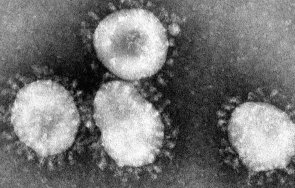 стартира онлайн система регистрация доброволци борбата covid