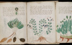 мистерия тайственият манускрипт войнич хвърля учените неведение векове никой прочете