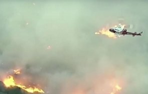 Заради голям пожар в Калифорния евакуираха хора от Лагуна бийч Пожарът