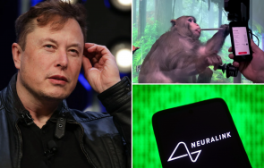 Мъск Маймунки