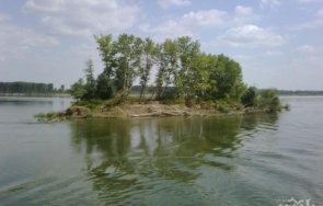 С 10 см се е повишило нивото на река Дунав