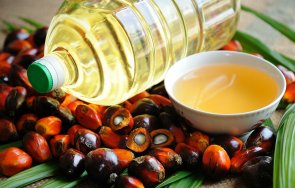 какви заболявания доведе употребата палмово масло