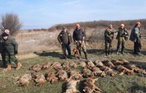 25 чакала бяха отстреляни край Пловдив Ловът на вредния дивеч