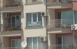 българи изкупиха малката русия