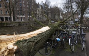 бурята юнис взе жертви нидерландия