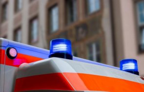 работник загина време дърводобив смолянско