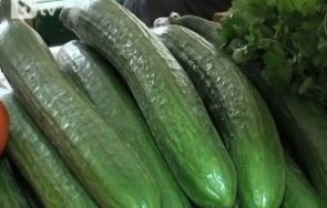 ефектът киро краставиците едро скъпи бутчетата