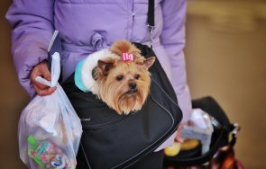 тъга надежда словенската полиция разтръсващи снимки бежанците украйна