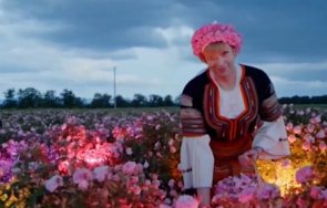 откриха скандалната изложба транссексуалните модели