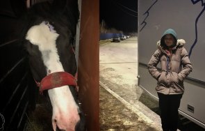 смелата аня украйна спаси смърт пет коня два паднаха жертва руски войници