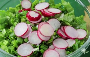 полезните пролетни зеленчуци