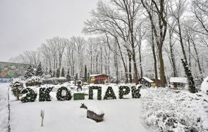 руски миномет уби двама служители екопарка харков отишли нахранят животните снимки