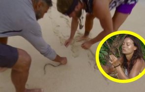 вярване участниците сървайвър закусиха змия