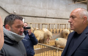 първо пик бойко борисов горещ коментар хаоса държавата живо