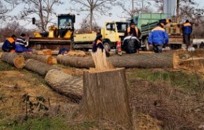 горите пловдив умират гребния канал започва спешно обследване снимки
