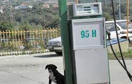 промяната продължава започнаха фалити малки бензиностанции