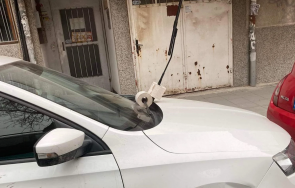 куриоз войната паркоместа пловдив премина тоалетна хартия