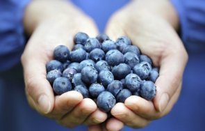 дар природата плод сваля високото кръвно часове