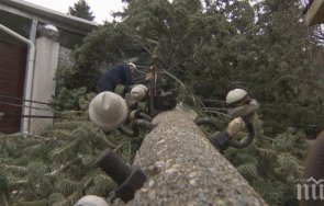 опасно време бурен вятър връхлетя софия 120 сигнала паднали клони дървета ламарини