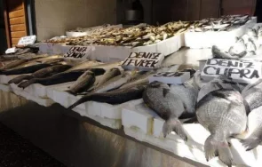 мините черно море вдигнаха цената рибата