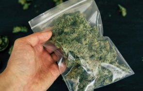 Иззеха марихуана от дома на британец в Търновско