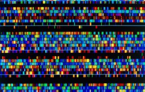 първи път учени публикуваха пълния човешки геном