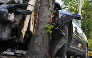 шофьор без книжка пътник разбиха дърво