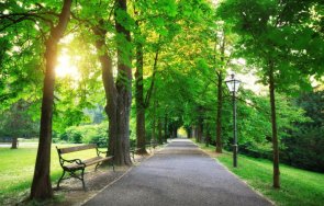 въжената градина радва посетителите старозагорския парк аязмото