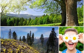 сутринта лято април слънчев петък живакът стига градуса топло карта