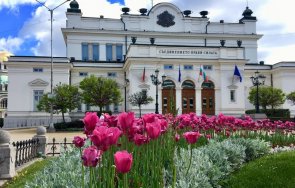 изложба парламента деня ромите