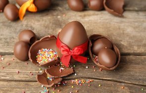 бабх спира всички шоколади kinder произведени завода арлон белгия