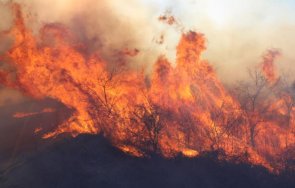 пожар унищожи декара гора кричим