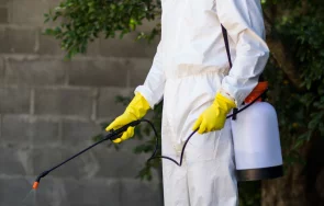 започна обработката зелените площи софия кърлежи