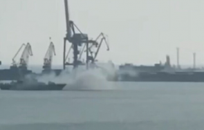 собственикът царевна информацията днр фалшива